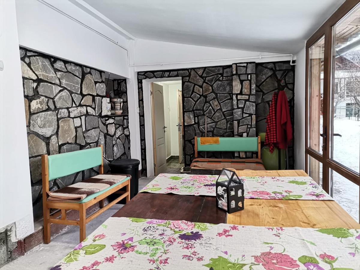 Zoso Home Busteni Exterior photo