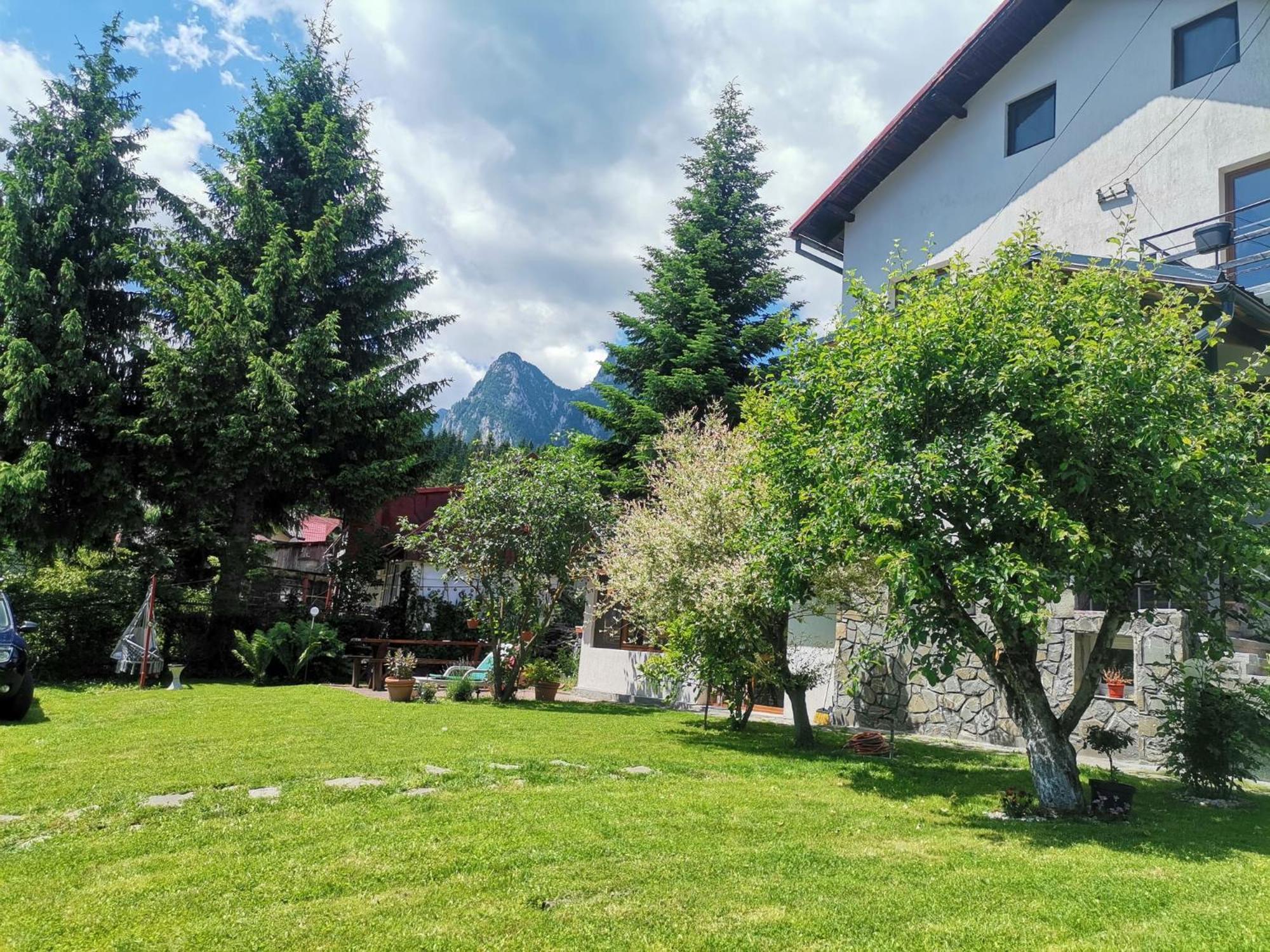 Zoso Home Busteni Exterior photo